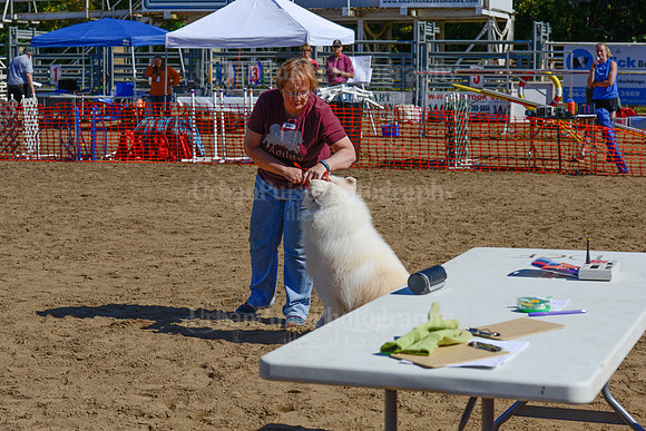 AGILITY-2223