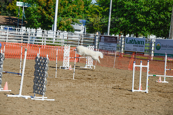 AGILITY-2021