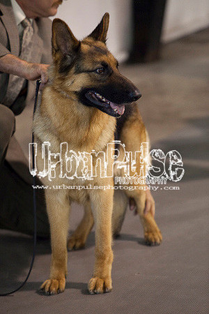 Fargo_2011-3947
