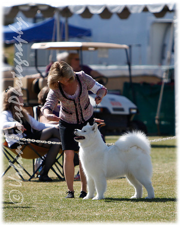 Agate_Scottsdale2011_6084