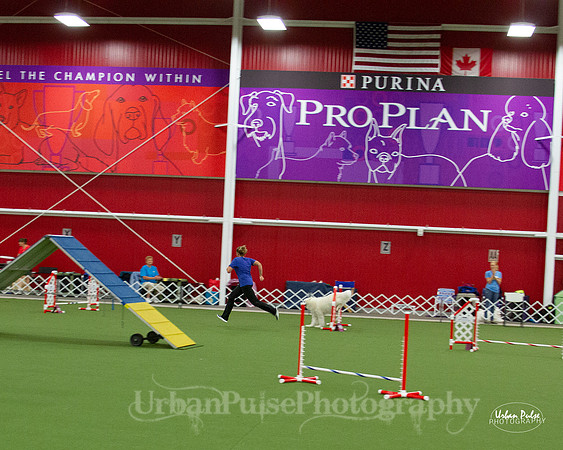 AGILITY_9468