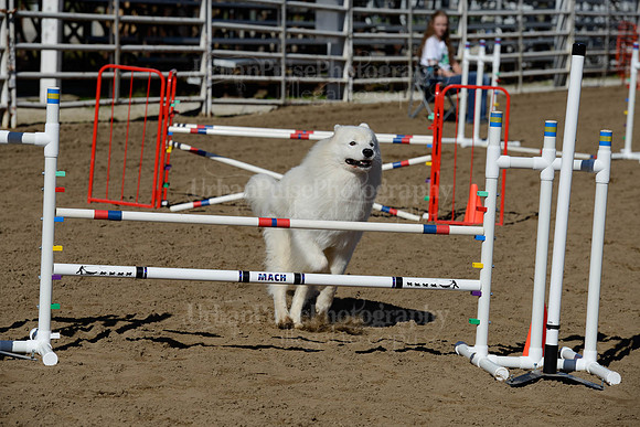 AGILITY-2040