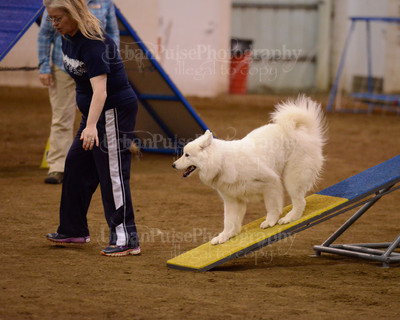 SCA2016_AG MON FAST NOVICE-3551