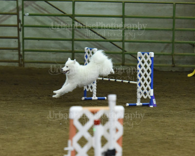 SCA2016_AG MON JWW NOVICE-1188