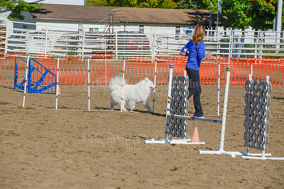 AGILITY-2141