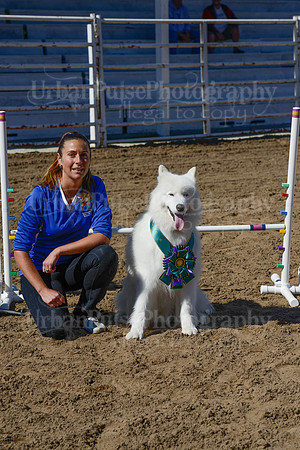 AGILITY-2221
