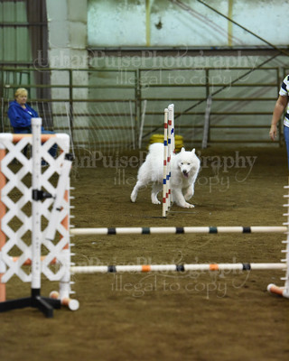 SCA2016_AG MON JWW NOVICE-1190