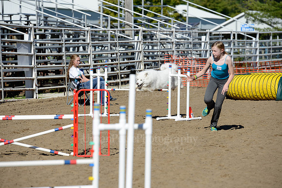 AGILITY-1949