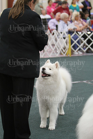 D BOB GR4-3799 2014 SCA National