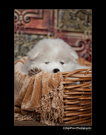 Keats_6weeks_0231