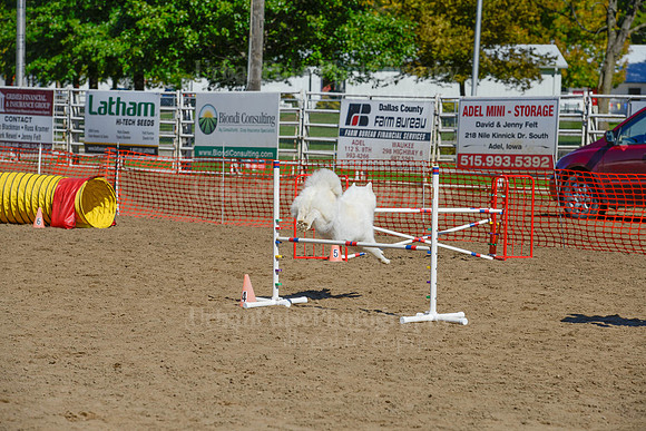 AGILITY-2292