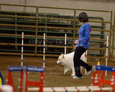SCA2016_AG MON FAST NOVICE-3559