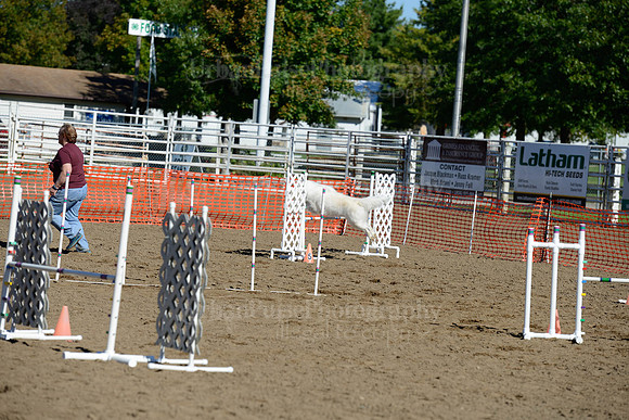 AGILITY-1996