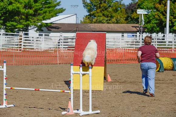 AGILITY-2228