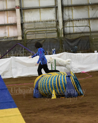 SCA2016_AG MON FAST NOVICE-0093