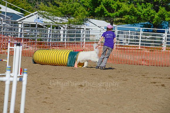 AGILITY-2188