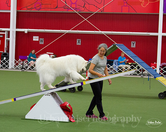 AGILITY_9444