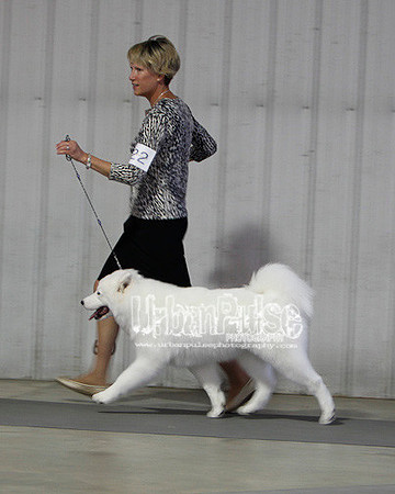 Fargo_2011-3773