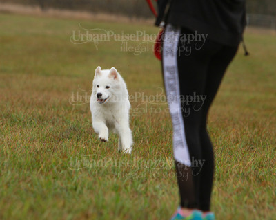 SCA2016_LURE COURSING-7728