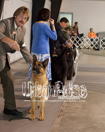 Fargo_2011-4003