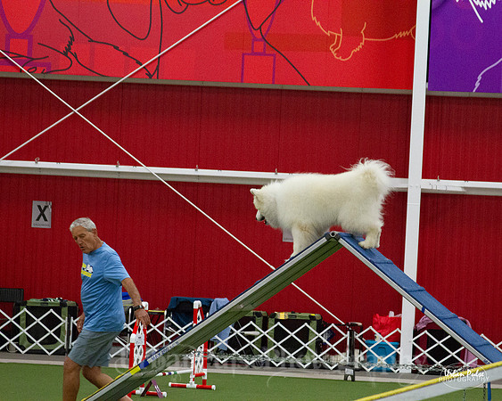 AGILITY_9505