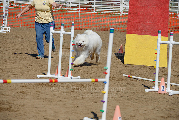 AGILITY-2370