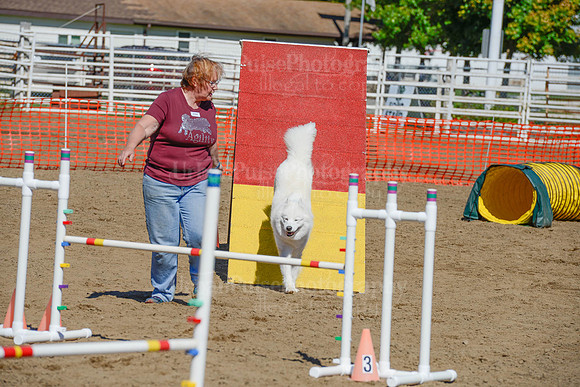 AGILITY-2320