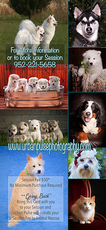 RACK CARD-BACK