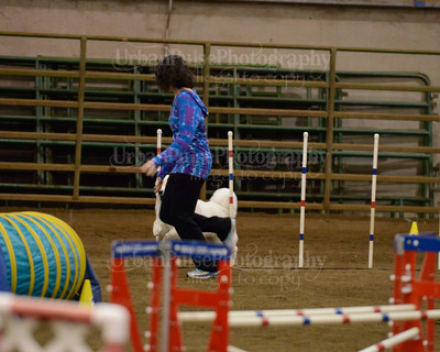 SCA2016_AG MON FAST NOVICE-3560