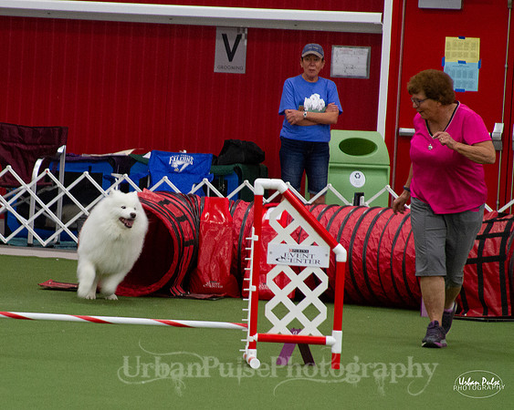 AGILITY_9487
