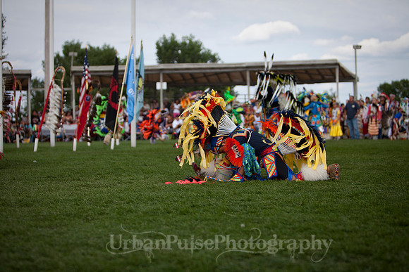 Wacipi_2011-2387