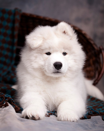 GreenBoy_10wks_16x20_0645