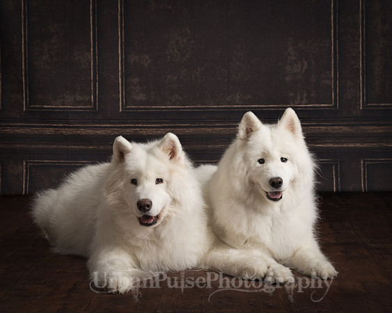_DSC3580-Edit-Edit