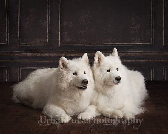 _DSC3586-Edit-Edit