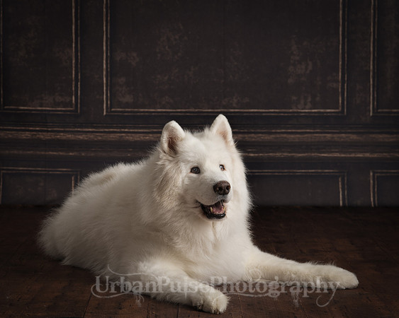 _DSC3601-Edit