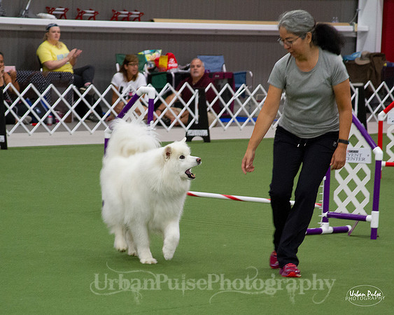 AGILITY_9442