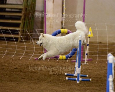 SCA2016_AG MON FAST NOVICE-3557
