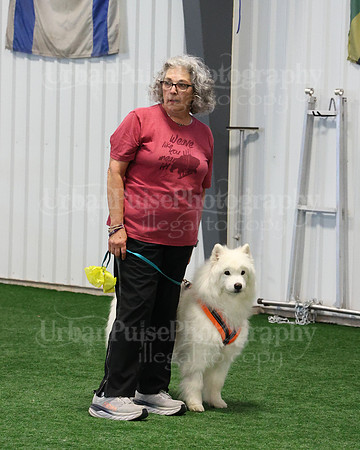 2021 SCA AGILITY RUN FOR GLORY-0888