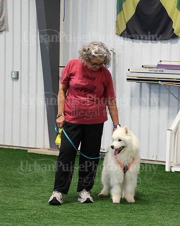 2021 SCA AGILITY RUN FOR GLORY-0887