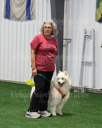 2021 SCA AGILITY RUN FOR GLORY-0890