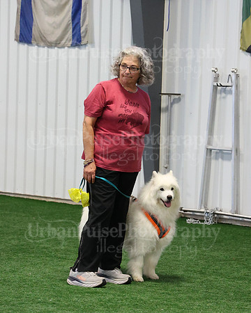2021 SCA AGILITY RUN FOR GLORY-0889
