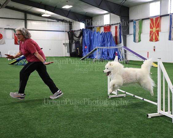 2021 SCA AGILITY RUN FOR GLORY-0896