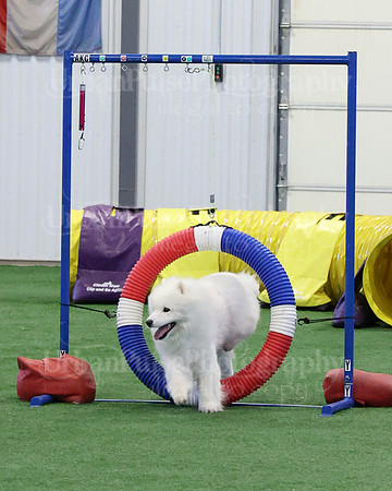 2021 SCA AGILITY RUN FOR GLORY-0897