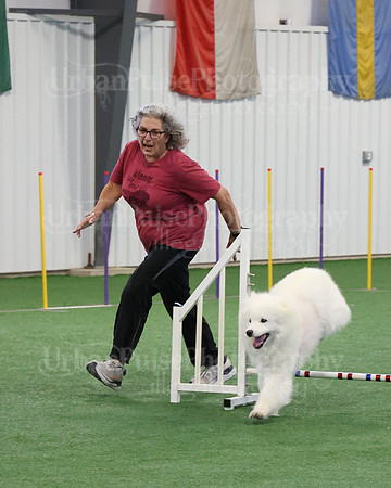 2021 SCA AGILITY RUN FOR GLORY-0899