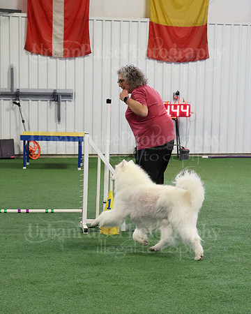 2021 SCA AGILITY RUN FOR GLORY-0901