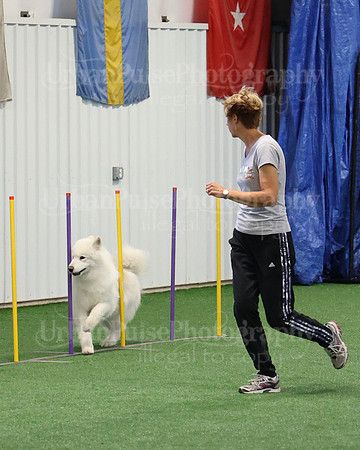 2021 SCA AGILITY RUN FOR GLORY-0910