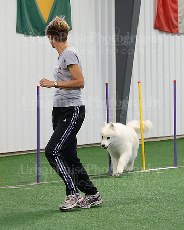 2021 SCA AGILITY RUN FOR GLORY-0913