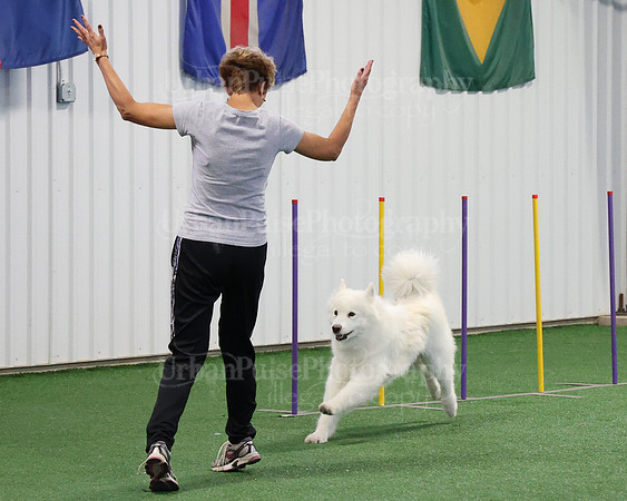 2021 SCA AGILITY RUN FOR GLORY-0915