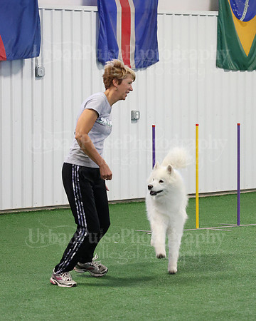 2021 SCA AGILITY RUN FOR GLORY-0916
