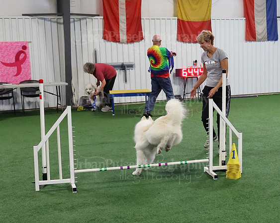 2021 SCA AGILITY RUN FOR GLORY-0919